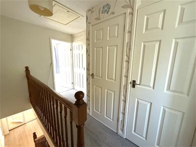 Picture 14